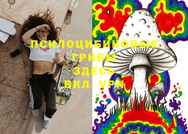 PSILOCYBIN Алексеевка