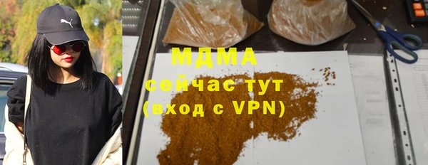 индика Алексин