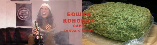 PSILOCYBIN Алексеевка