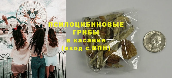 PSILOCYBIN Алексеевка