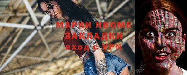 индика Алексин