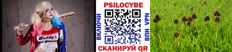 где купить наркоту  Якутск  дарк нет какой сайт  Галлюциногенные грибы мухоморы 